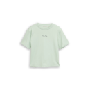 TOM TAILOR DENIM Shirt light matcha green