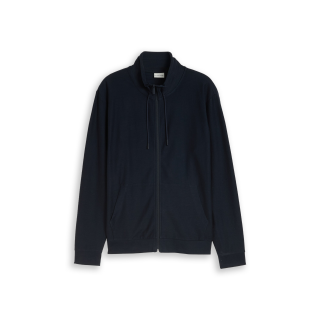 TOM TAILOR MAN Strickjacke sky blue