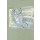 SQUESTO Shirt olive