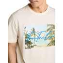 TOM TAILOR MAN Shirt gardenia white