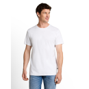 TOM TAILOR MAN Shirt white