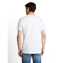 TOM TAILOR MAN Shirt white