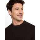 TOM TAILOR MAN Pullover brown black