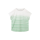 TOM TAILOR PLUS T-Shirt  green gradient stripe